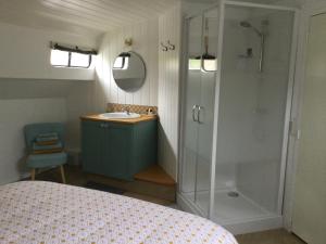 baño pequeño con ducha y lavamanos en Péniche GEMJO, en Castelsarrasin