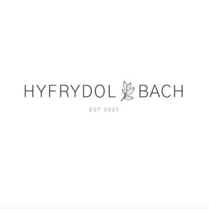 a logo for a website for a beach resort at Hyfrydol Bach in Maesteg