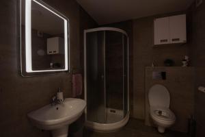 een badkamer met een wastafel, een toilet en een spiegel bij Apartman Neda N in Vrnjačka Banja