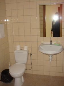 ポモリエにあるEvi Apartments 1のトイレと洗面台付きの浴室を撮影した男