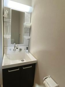 a bathroom with a sink and a mirror and a toilet at Lucky you! YOTSUYA in Tokyo +33 photos