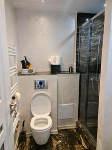 a bathroom with a toilet and a shower at APARTAMENT IN CENTRU in Oradea