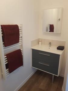 ein Badezimmer mit einem Waschbecken, einem Spiegel und Handtüchern in der Unterkunft Appartement entre Saint-Malo, Dinard, Dinan et Dol in Miniac-Morvan