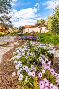 A garden outside Casa Lilliosa