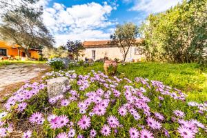 A garden outside Casa Lilliosa