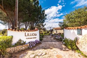 A garden outside Casa Lilliosa