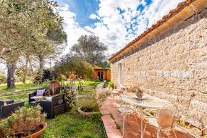 A garden outside Casa Lilliosa