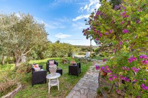 A garden outside Casa Lilliosa
