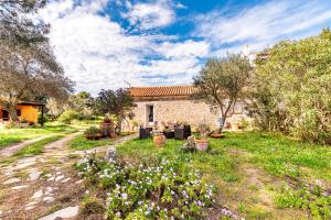 A garden outside Casa Lilliosa