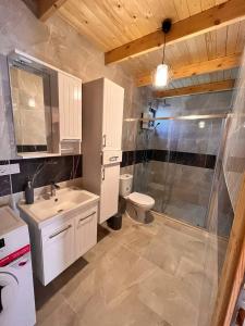 a bathroom with a toilet and a sink and a shower at KARYA TREE HOUSE in Dalaman