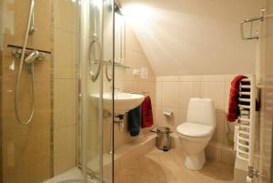 a bathroom with a toilet and a sink and a shower at Vecekrug Apartaments in Preila