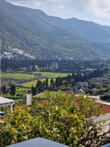 a view of a valley from a house at Karaoulanis Apartments in Andros