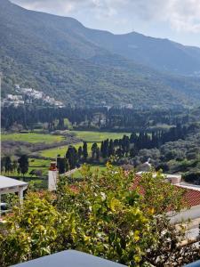 アンドロスにあるKaraoulanis Apartmentsの家から渓谷の景色