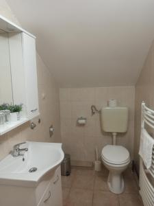 uma casa de banho com um WC branco e um lavatório. em House Zlatko em Seliste Dreznicko