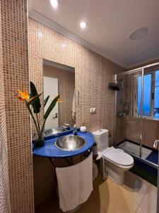 ein Bad mit einem Waschbecken und einem WC in der Unterkunft Apartamenro A Tixola casco histórico in Pontevedra