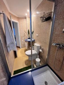 ein Bad mit einem WC und einer Dusche in der Unterkunft Apartamenro A Tixola casco histórico in Pontevedra