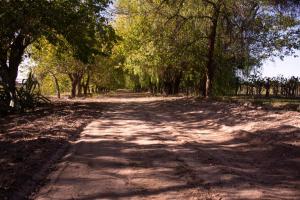 un camino de tierra con árboles a ambos lados en La Finca de Buen Orden en San Martín