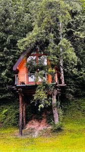 una casa en el árbol en medio de un bosque en Tara Place - Camp Rabrenovic en Mojkovac