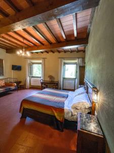 1 dormitorio con 1 cama grande en una habitación en Agriturismo La Topaia en Borgo San Lorenzo