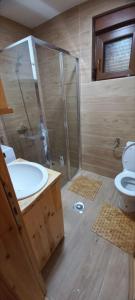 a bathroom with a shower and a sink and a toilet at Chalet Čilac in Žabljak