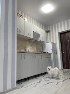 a small white dog standing in a kitchen at Sea 406 in Odesa +12 photos
