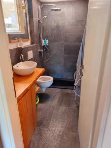 un bagno con lavandino, WC e doccia di Casetta Bouganville a Porto Rotondo Altre 16 foto