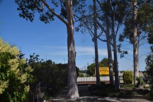 un cartello di fronte a una recinzione con alberi di Riviana Motel a Deniliquin