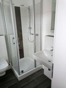 a bathroom with a shower and a toilet and a sink at Altes Gesellenhaus in Dinklage