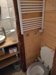 małą łazienkę z toaletą i umywalką w obiekcie Appartement Valfréjus Thabor A pieds de pistes w mieście Modane