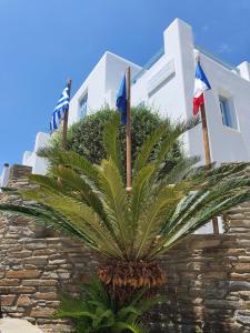un palmier devant un bâtiment arborant des drapeaux dans l'établissement Karaoulanis Apartments, à Andros