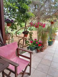 una sedia rosa seduta su un patio con piante in vaso di Casa Matzurana a Kounoupidhianá