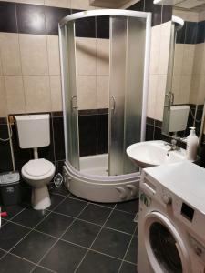 La salle de bains est pourvue d'une douche, de toilettes et d'un lavabo. dans l'établissement VD Apartment, à Skopje