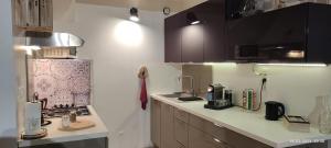 a kitchen with a refrigerator and a counter top at Le cocoon de Christelle in Montredon