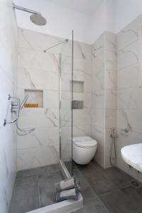 a bathroom with a shower and a toilet and a sink at Villa Kalomira in Spetses