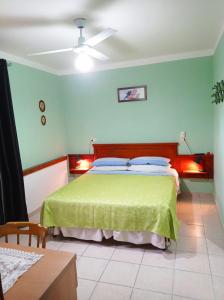 una camera da letto con un letto con pareti verdi e un soffitto di Casa Vacanze Mimose a Palinuro