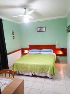 a bedroom with a bed with green walls and a ceiling at Casa Vacanze Mimose in Palinuro