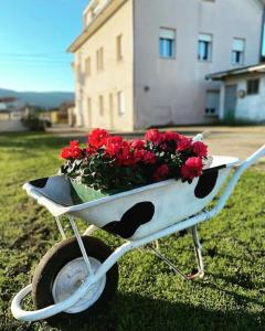 una carriola piena di fiori rossi in un cortile di Viviendas uso turístico REME II a Foz