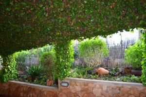 Zahrada ubytování Casa Piedra Mallorca