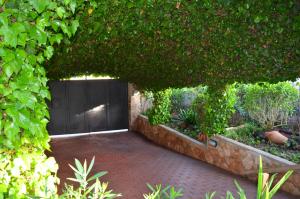 Zahrada ubytování Casa Piedra Mallorca
