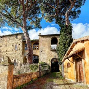 un viejo edificio con un árbol delante de él en La CASA di BAMBI en Roma