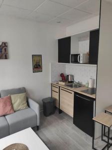 Kuchyňa alebo kuchynka v ubytovaní Charmant deux pièces centre Cantimpré3