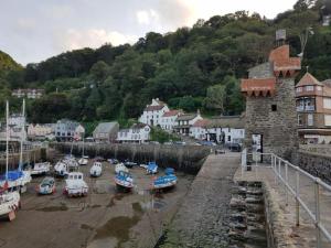 a group of boats are docked in a harbor at Lynton old town, Central ground floor 1 bed apart. in Lynton