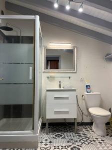 ein Badezimmer mit einem WC, einem Waschbecken und einem Spiegel in der Unterkunft Jolie Maison Piscine 8 mn à Pied du centre et Plage in Canet-en-Roussillon