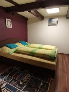 Voodi või voodid majutusasutuse apartmán ve mlejně toas