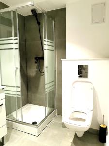 a bathroom with a glass shower with a toilet at Uranus Studio in Piatra Neamţ