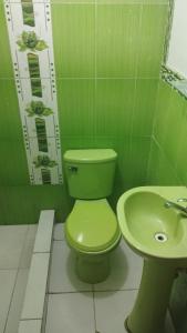 een groene badkamer met een toilet en een wastafel bij DEPA OSAMA in Ayacucho