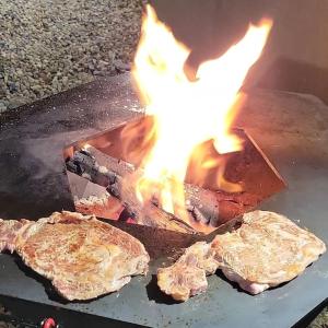 a grill with two pieces of meat on fire at bien situé entre mer et montage in Santa-Maria-di-Lota