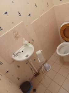 uma casa de banho com um lavatório e um WC em DYNAMIQUE ET SPLENDIDE em Bourgoin-Jallieu