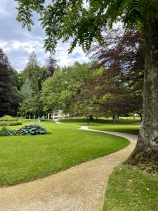 un camino en un parque con un árbol en Apartma Drev in Bošnjak, en Dobrna