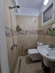 W łazience znajduje się prysznic, toaleta i umywalka. w obiekcie Appartement vue mer w mieście Mahdia